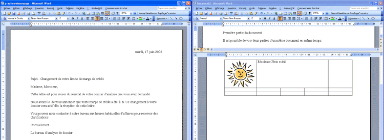 Word 2003 - Comparer deux documents Word côte à côte