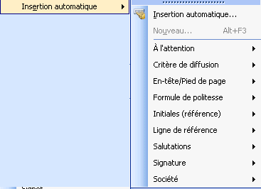 word 2003: insertion -automatique