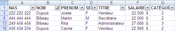 Excel 2007 - Filtre automatique personnalisé - résultat